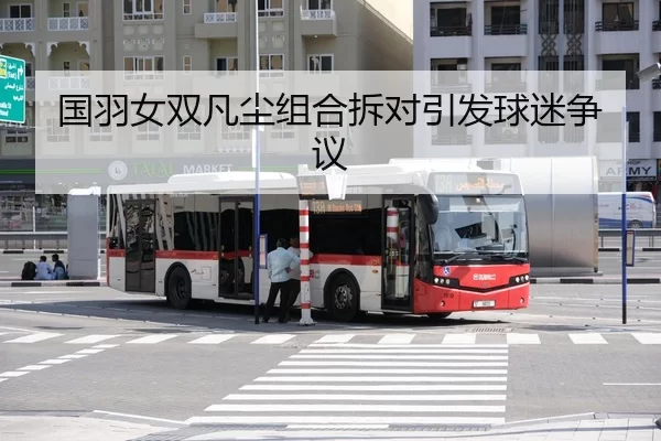 guo-yu-nv-shuang-fan-chen-zu-he-chai-dui-yin-fa-qiu-mi-zheng-yi-2-852.jpg