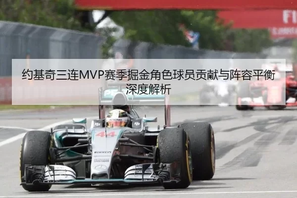 约基奇三连MVP赛季掘金角色球员贡献与阵容平衡深度解析