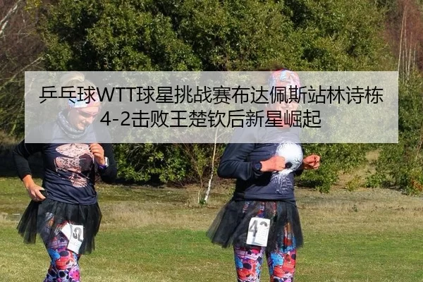 ping-pang-qiu-qiu-xing-tiao-zhan-sai-bu-da-pei-si-zhan-lin-shi-dong-ji-bai-wang-chu-qin-hou-xin-xing-jue-qi-2-742.jpg